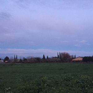 Meet your Posher, Marlene